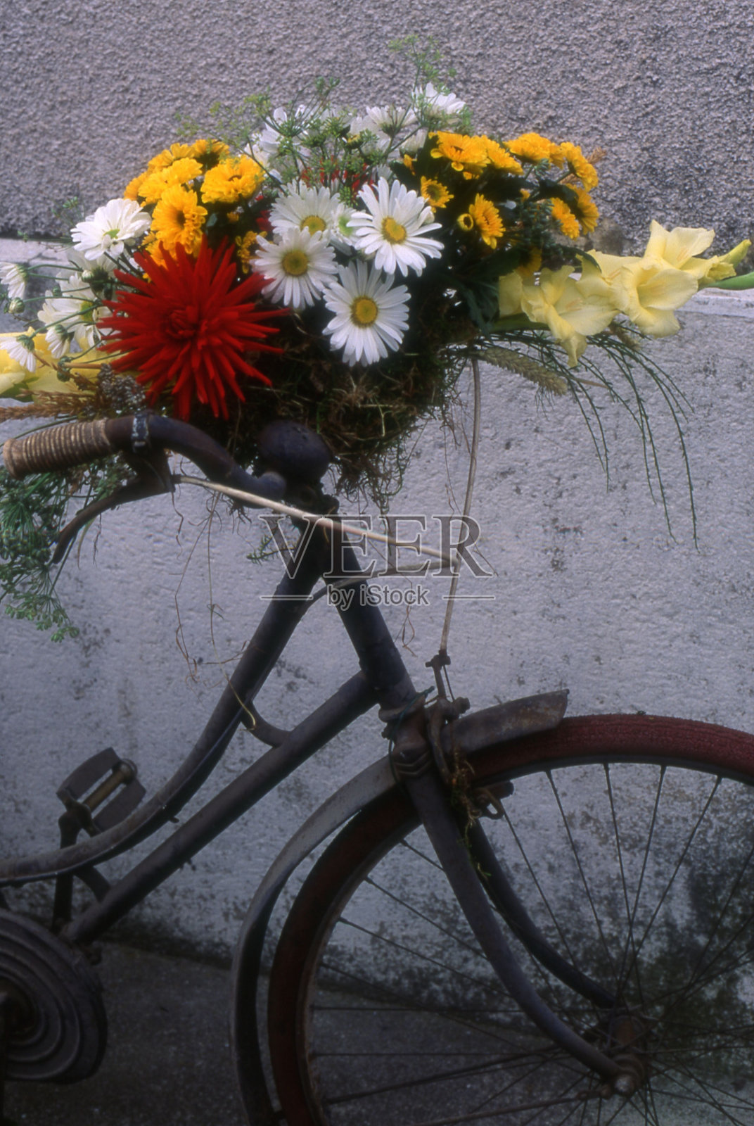 户外自行车篮中的鲜花特写镜头照片摄影图片