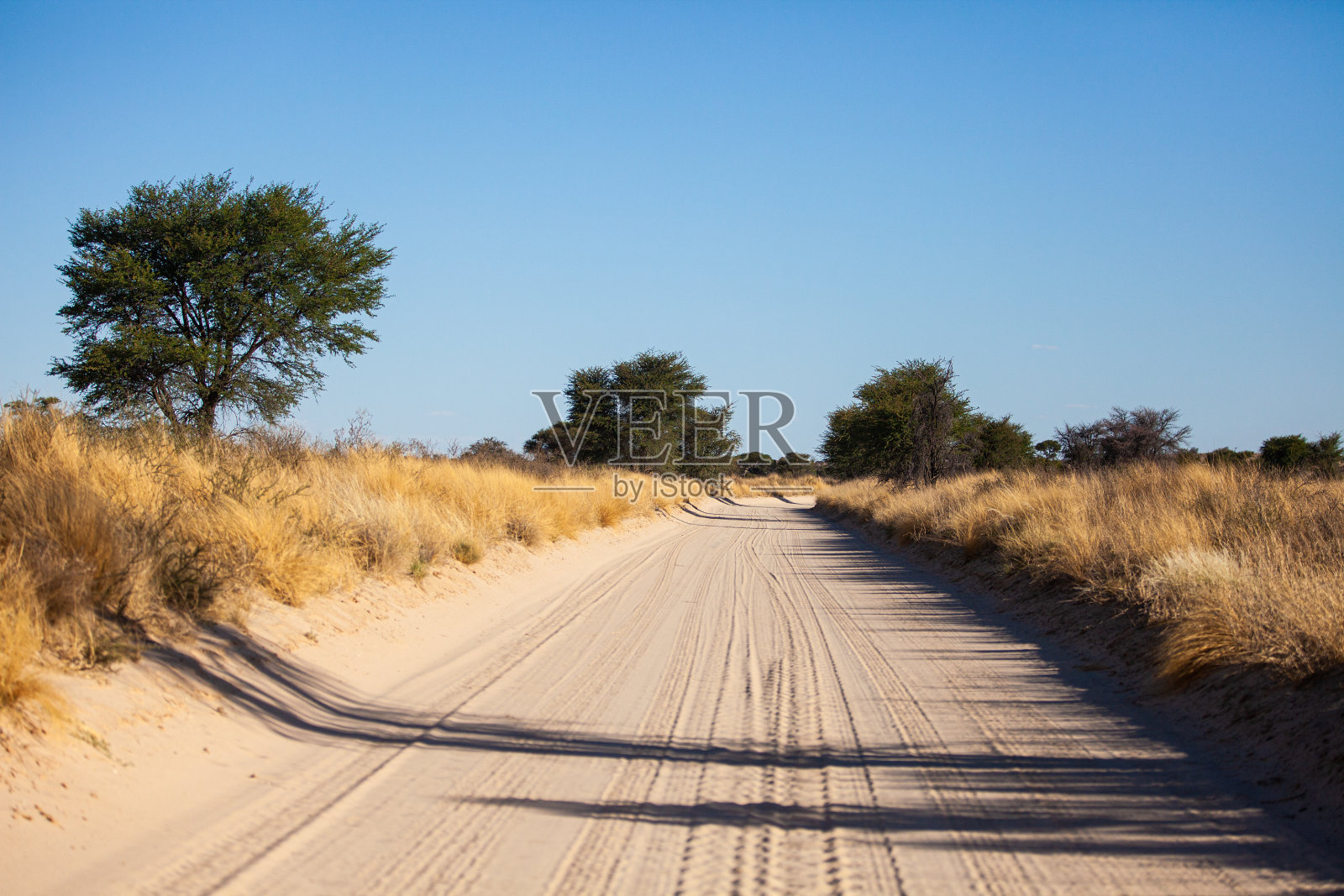 非洲南部的Kgalagadi跨境公园景观照片摄影图片