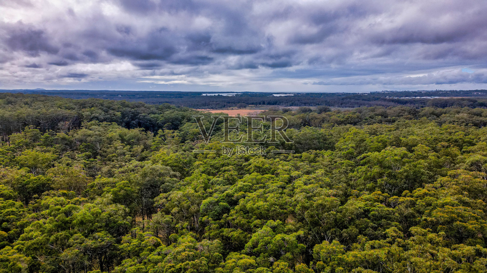 澳大利亚乡村多云天空下森林树木的鸟瞰图照片摄影图片