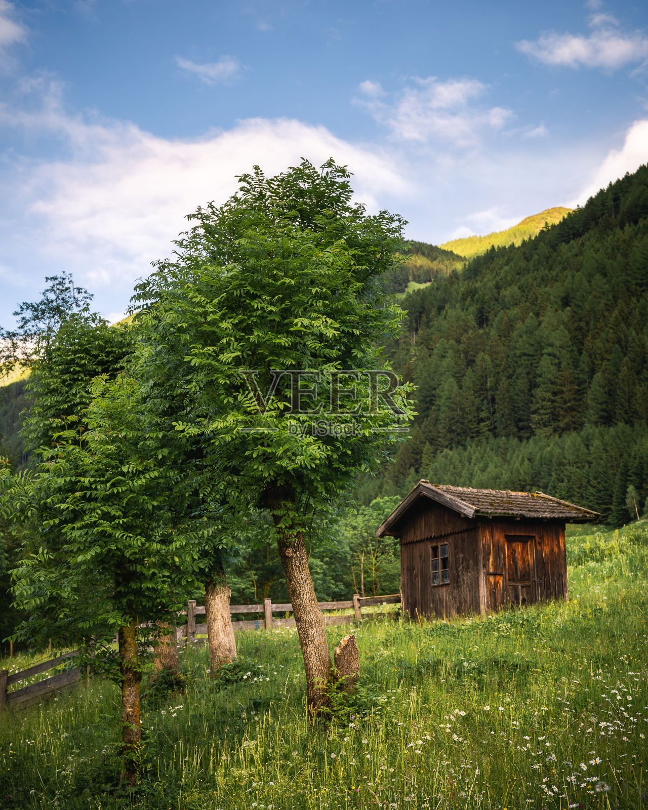 绿色田野里的乡村木屋的垂直镜头照片摄影图片