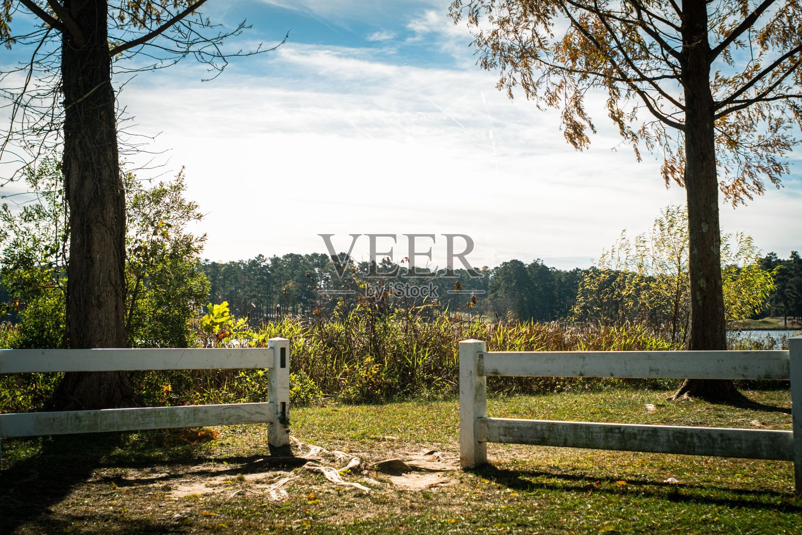 户外美丽的季节景观照片摄影图片