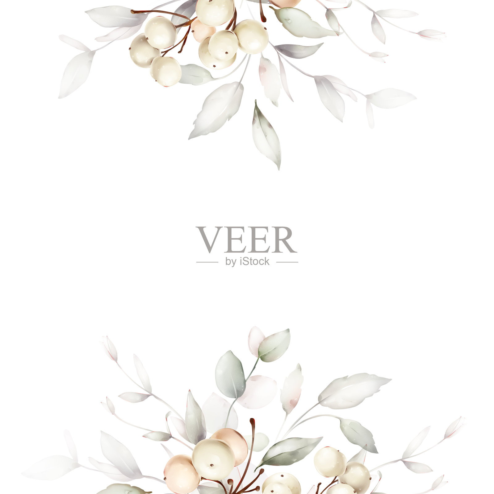 有浆果的圣诞卡。白色背景上的圣诞作品插画图片素材