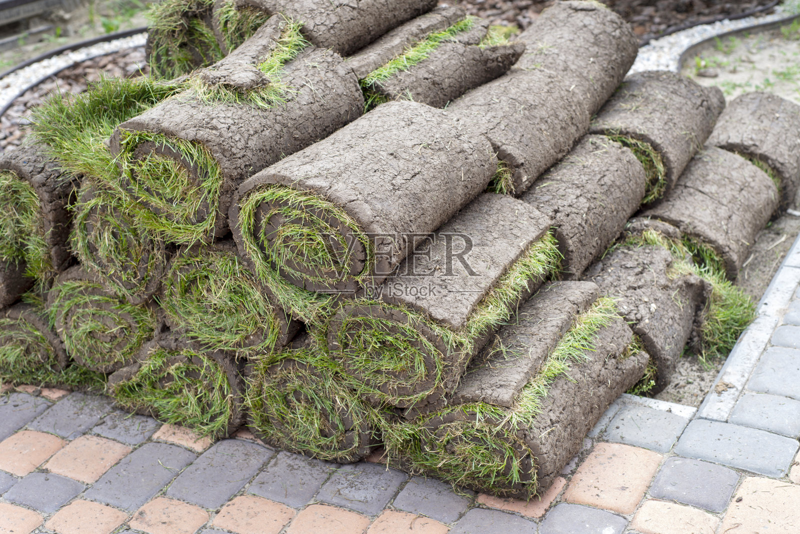 新草坪用的草皮卷照片摄影图片
