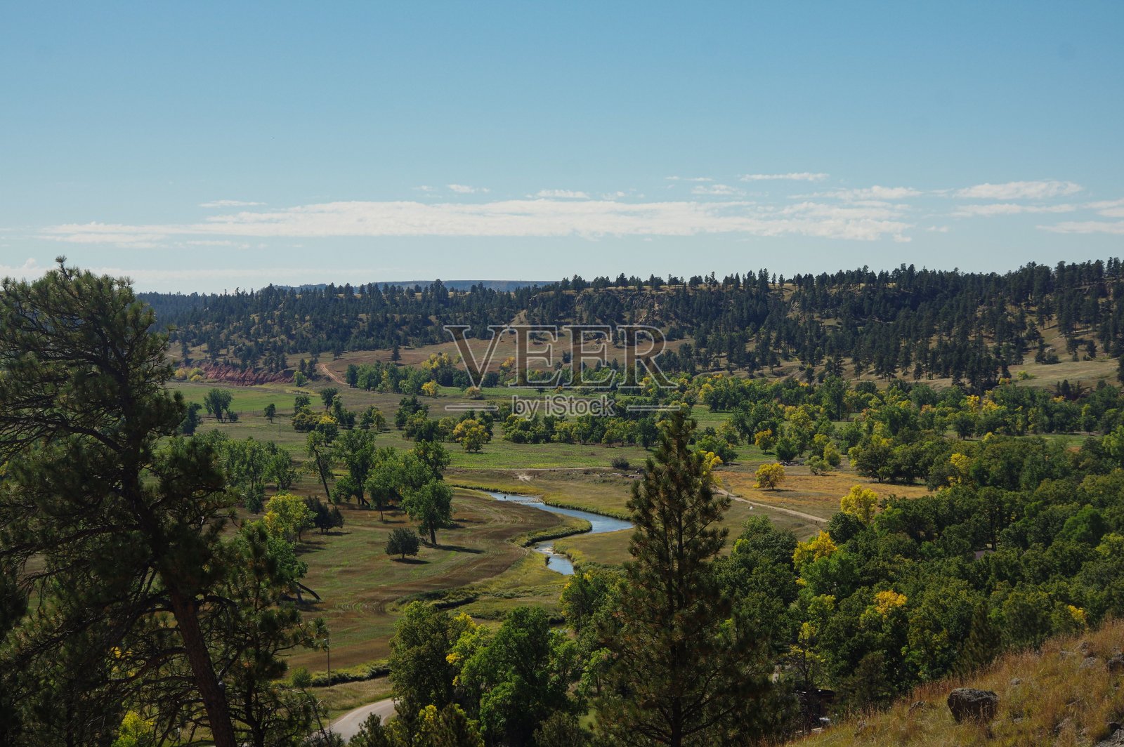 在阳光明媚的日子里，一条狭窄的河流在树林里流淌，树林里有美丽的树木照片摄影图片