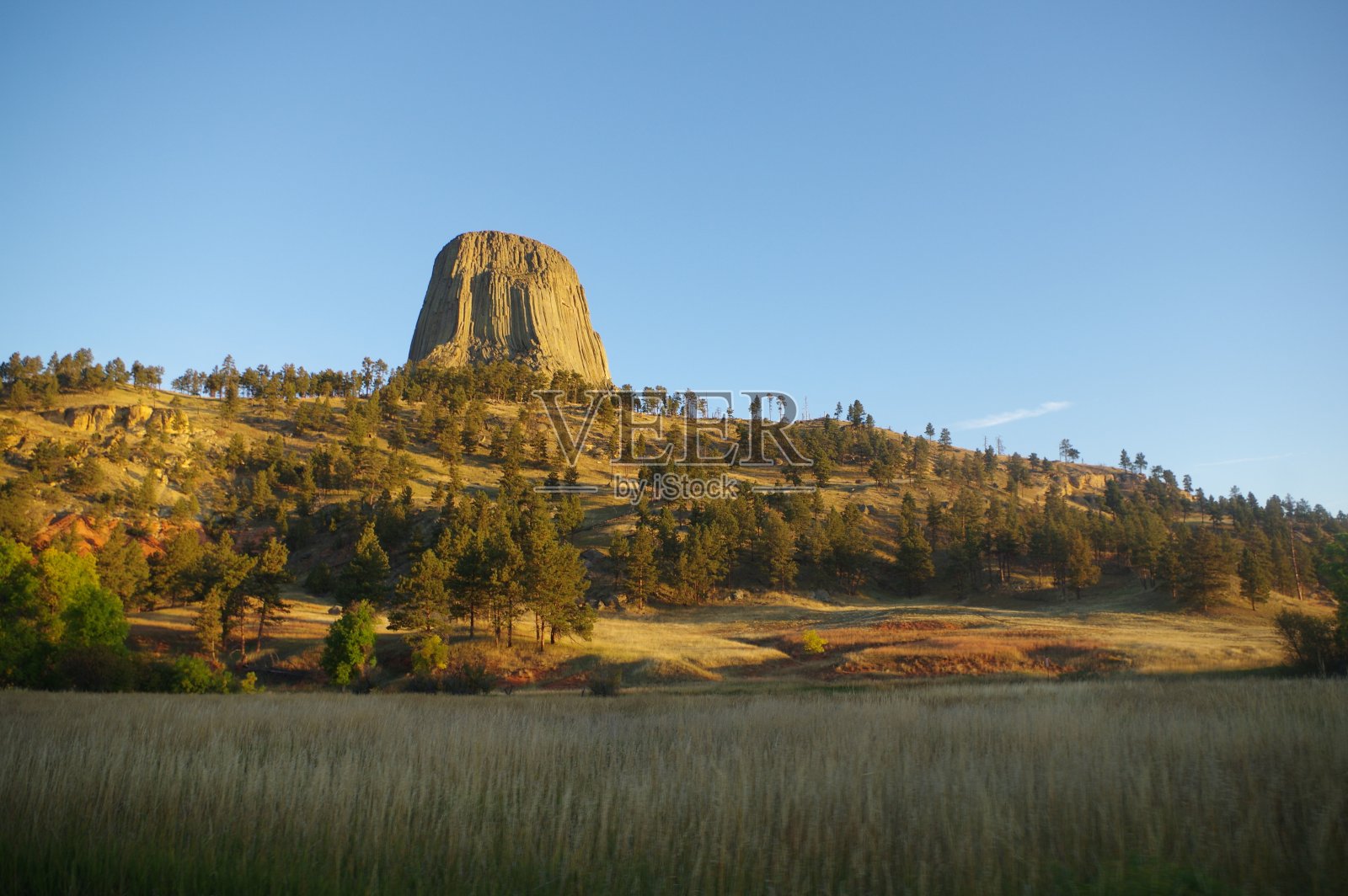 蓝蓝的天空下，魔鬼岩被树环绕在小山上照片摄影图片