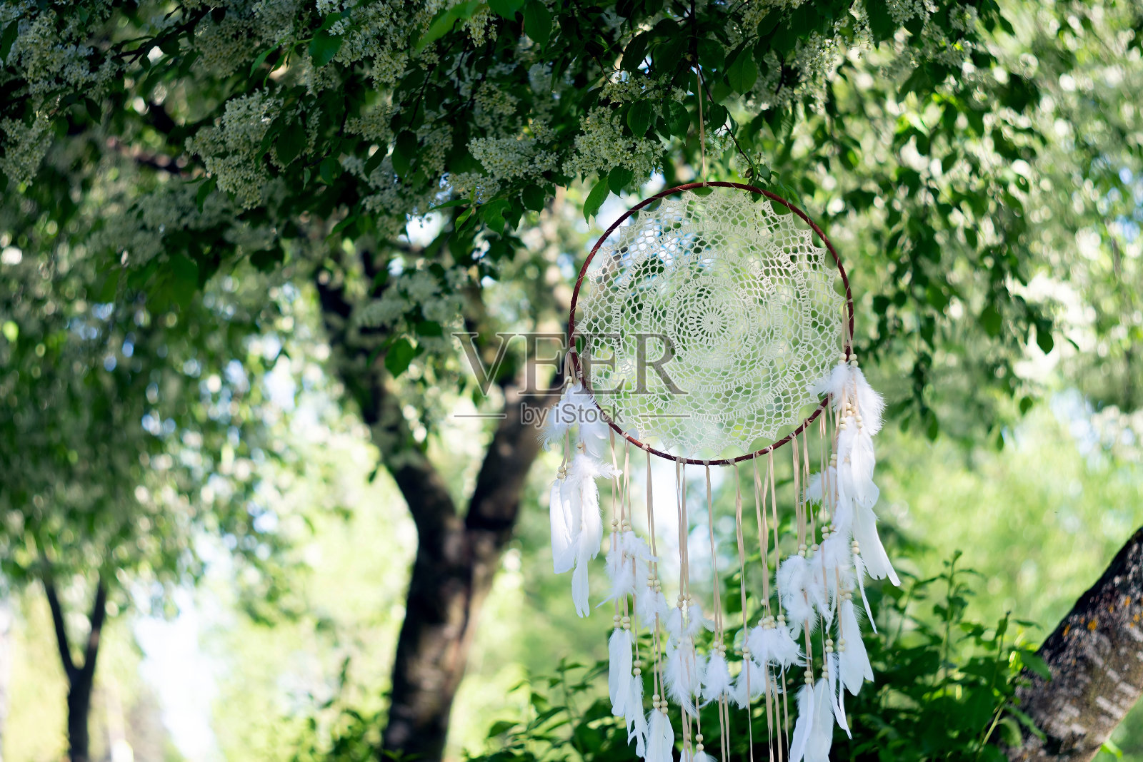 森林捕梦网，神秘护身符。软的焦点。照片摄影图片