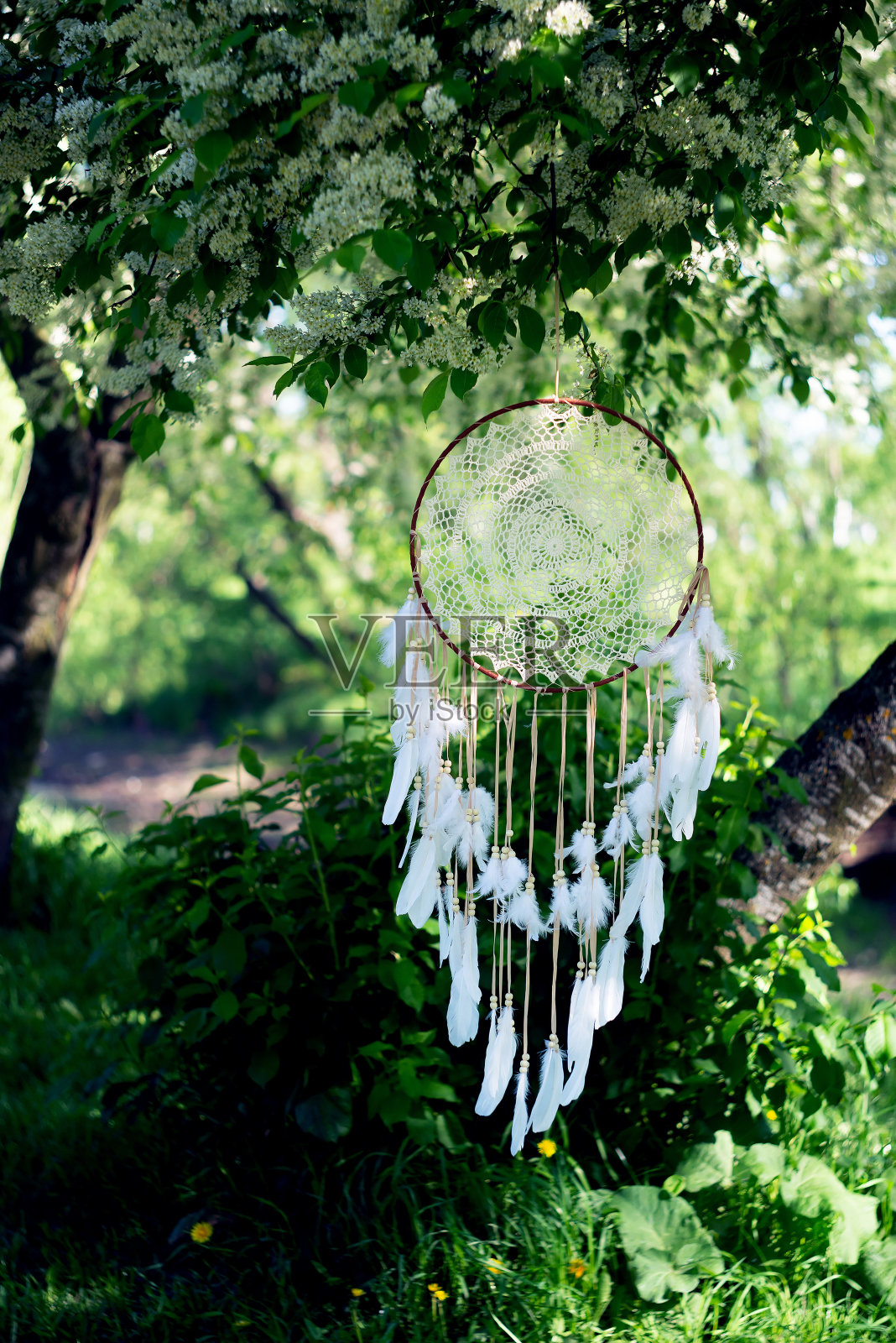 森林捕梦网，神秘护身符。软的焦点。照片摄影图片