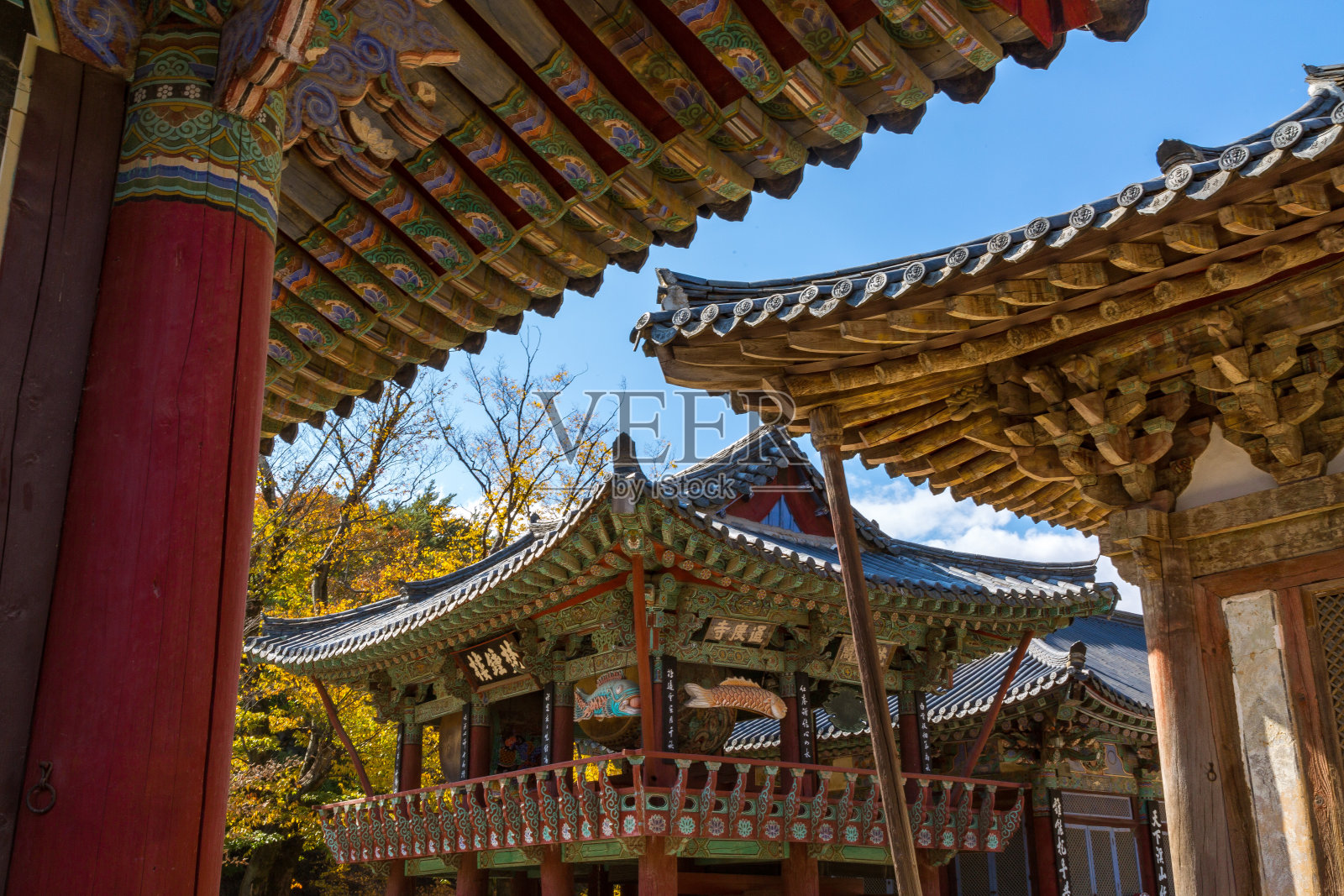 韩国通道寺部分屋顶照片摄影图片