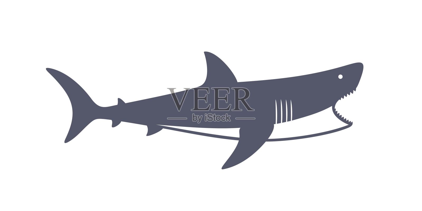 鲨鱼的标志。白色背景上孤立的鲨鱼插画图片素材