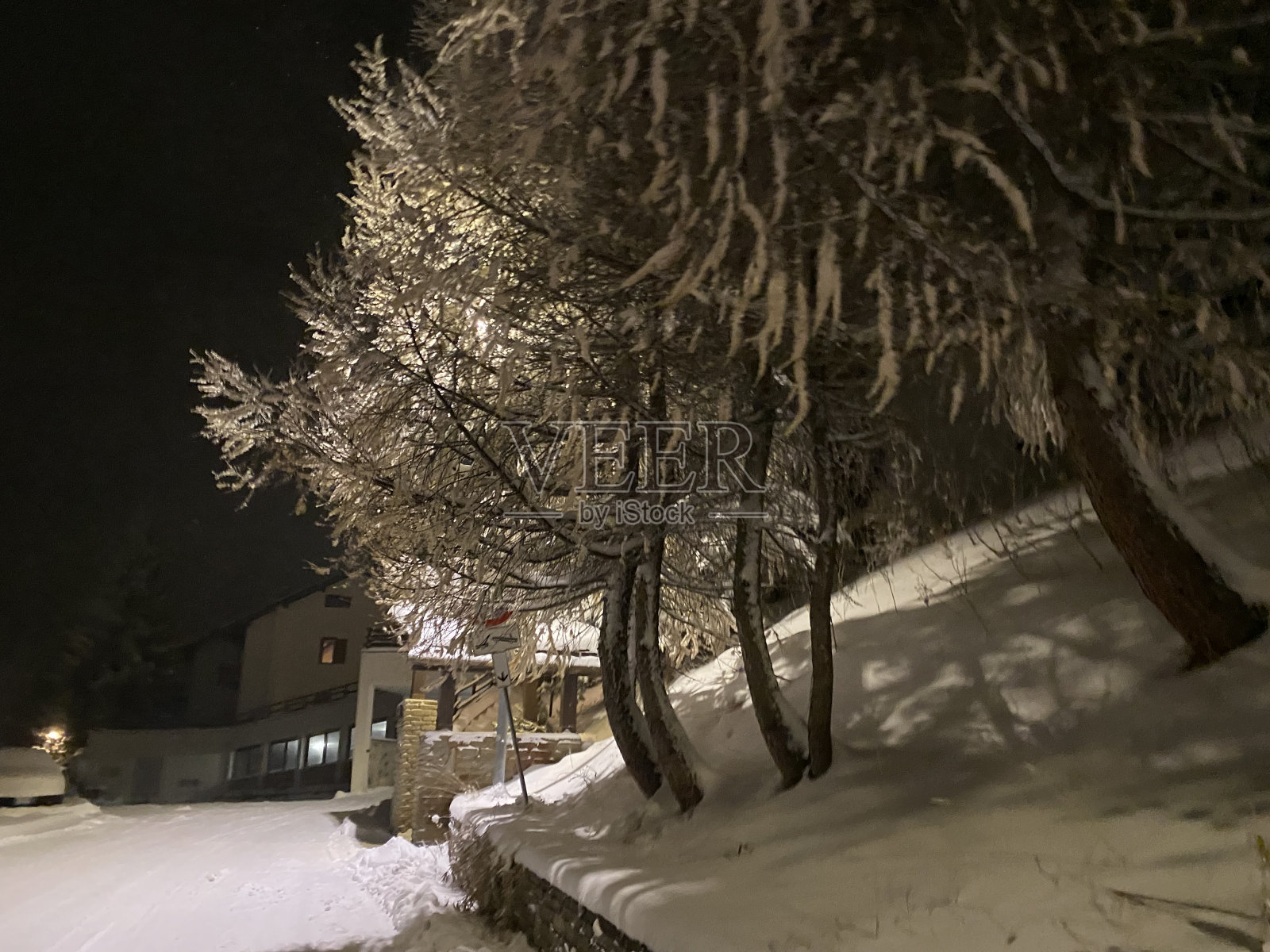 冬天来了照片摄影图片