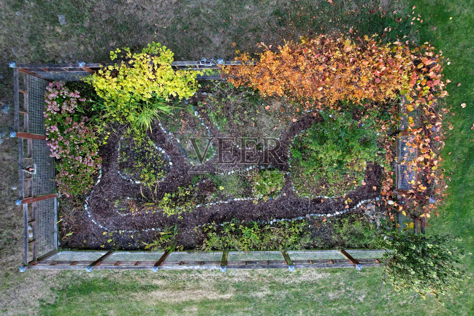 秋天的花园照片摄影图片