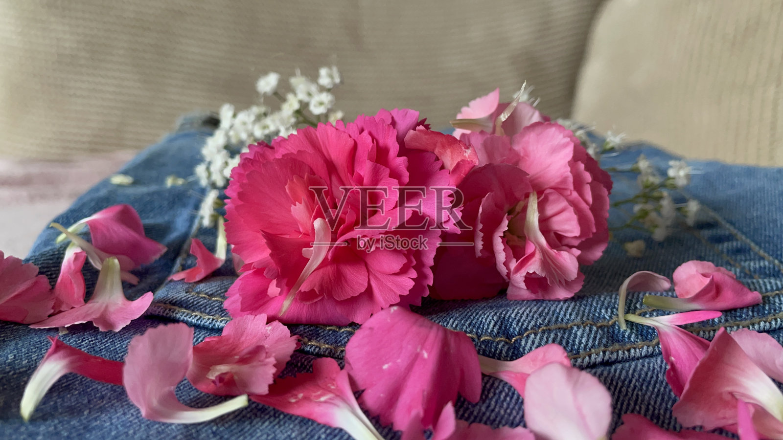 牛仔裤设计与康乃馨鲜花放在他们，粉红色的花朵，节日的设计漂亮照片摄影图片