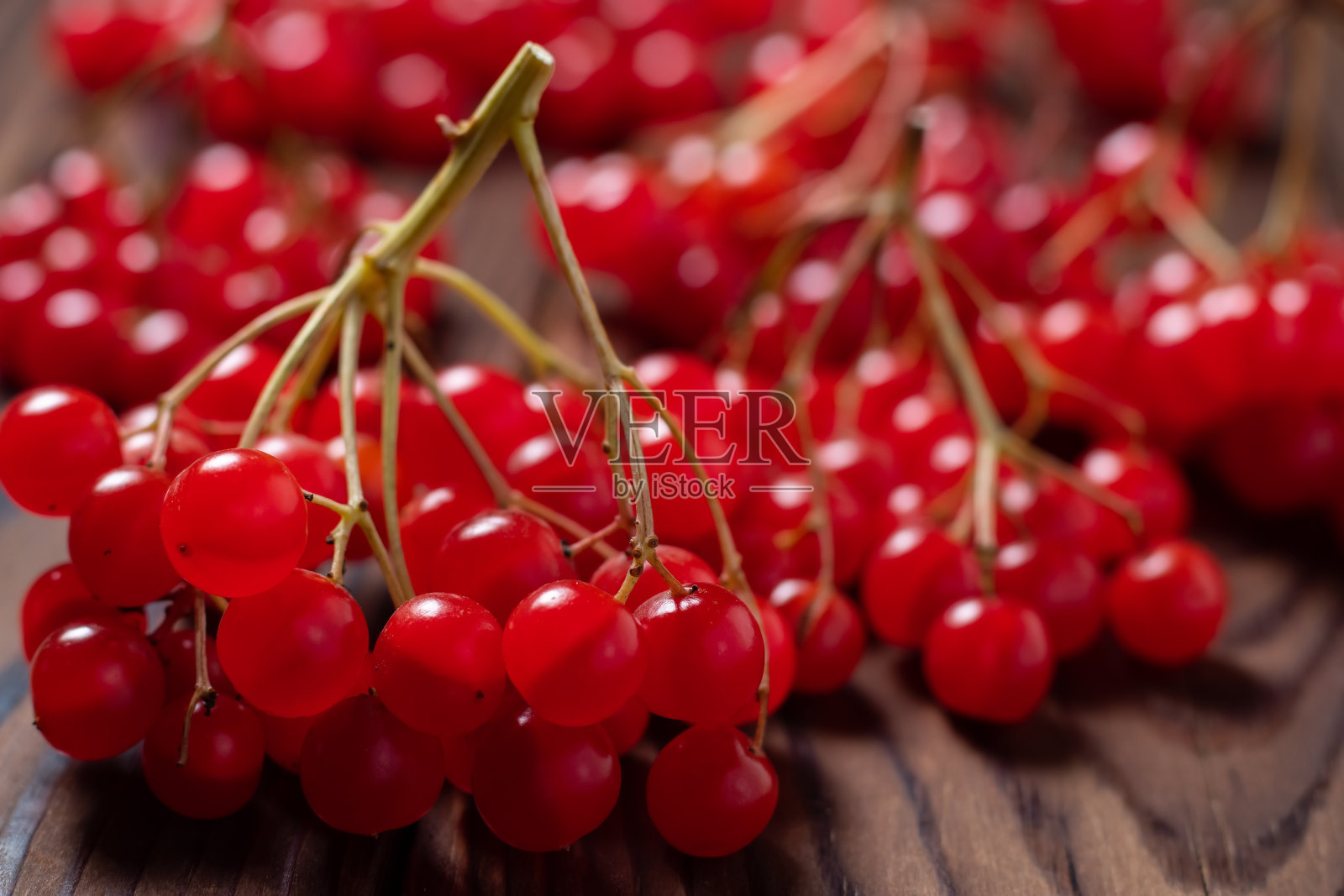 红色的荚蒾分枝。Guelder玫瑰。美丽的红色浆果荚木分支在木制背景照片摄影图片