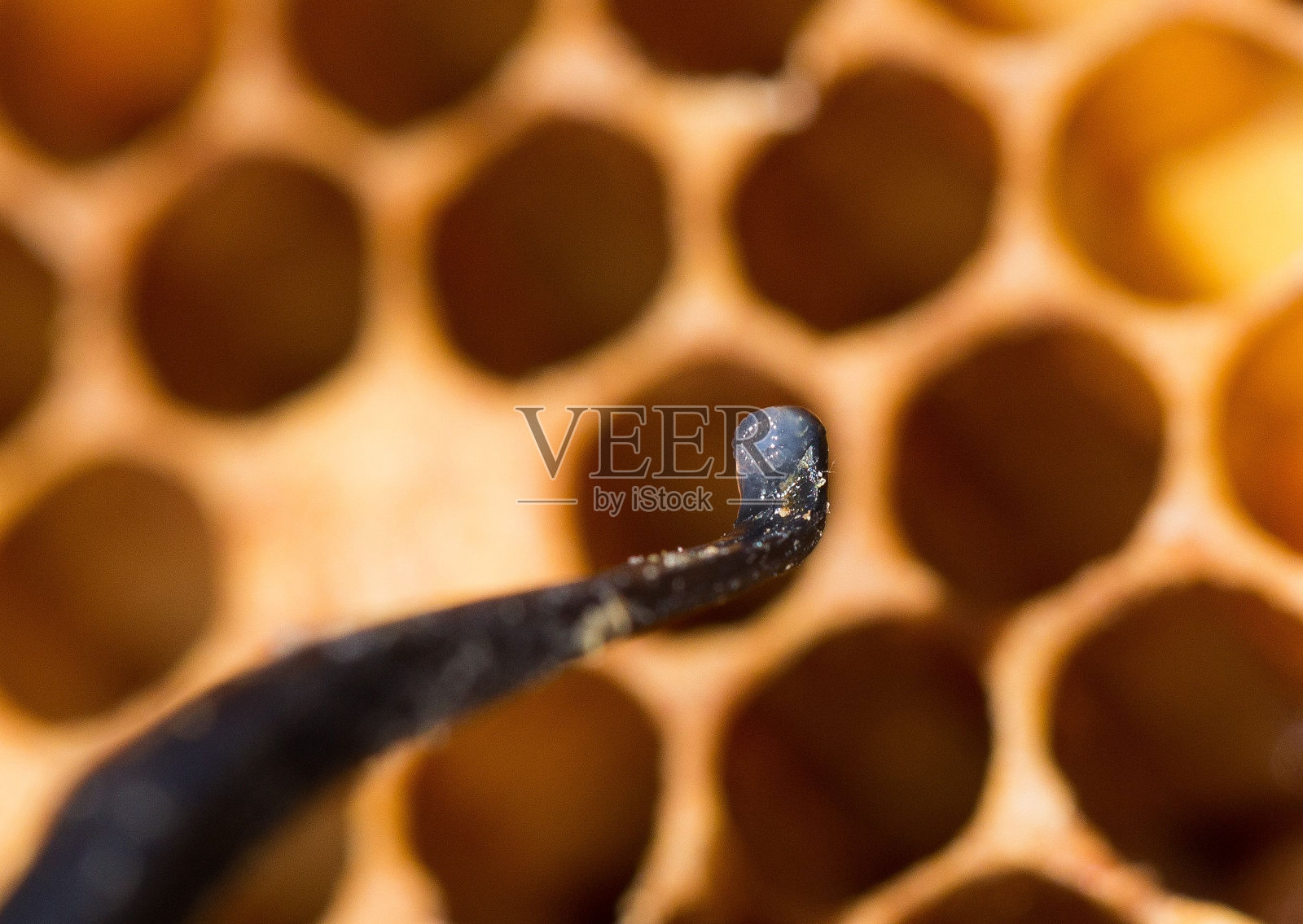 传统养蜂的微距镜头照片摄影图片