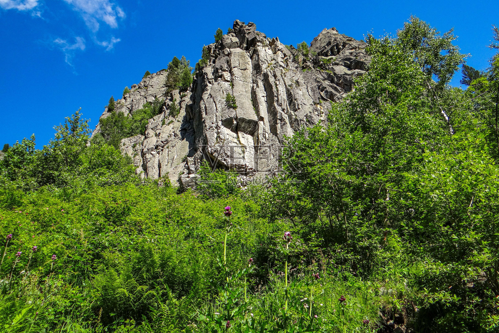 美丽的风景与山在清澈的蓝天下照片摄影图片