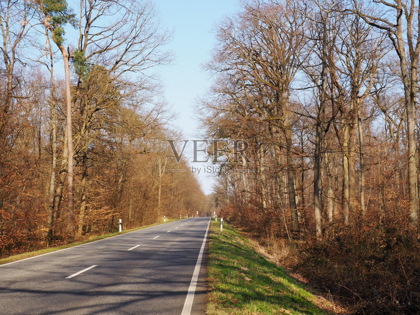 通过森林的双车道公路的观点照片摄影图片