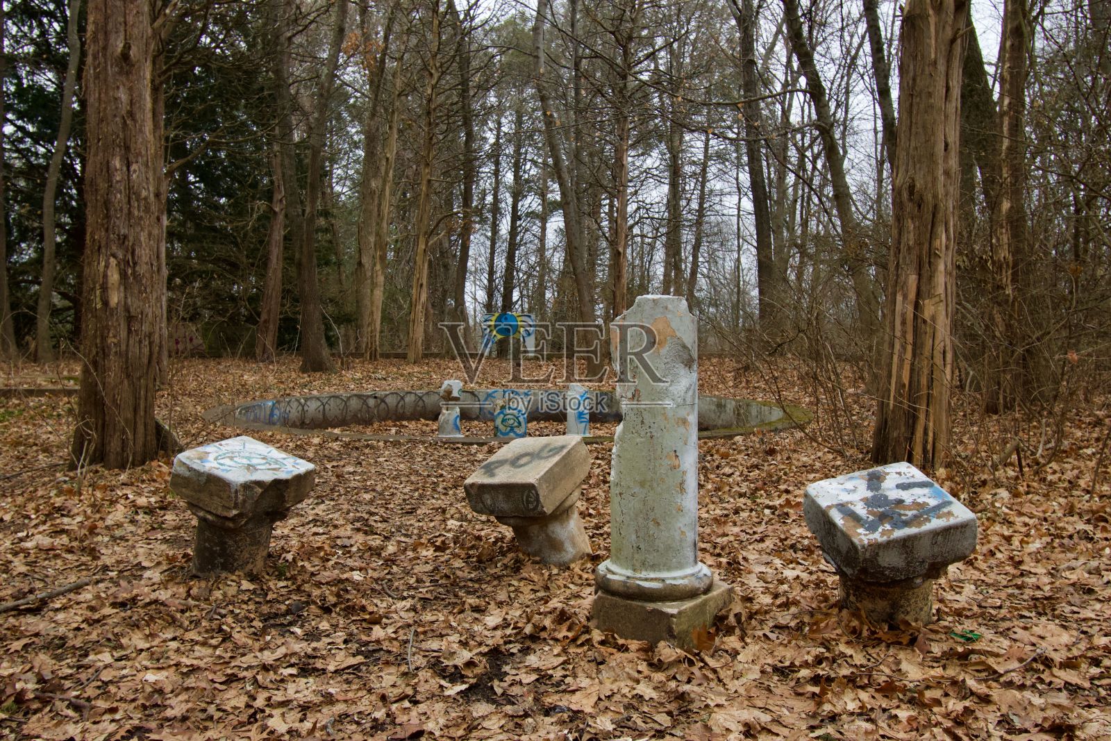 美国马萨诸塞州森林中被遗弃的地方的特写镜头照片摄影图片