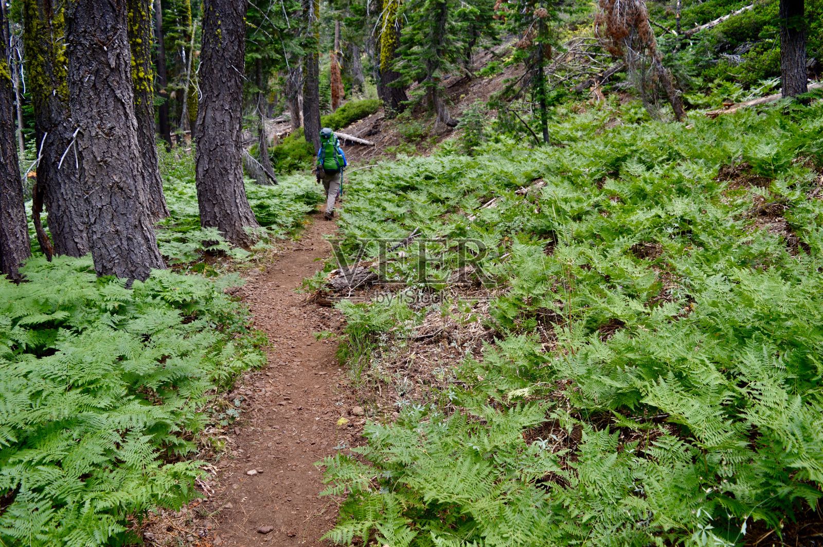 美丽的利文湖步道照片摄影图片