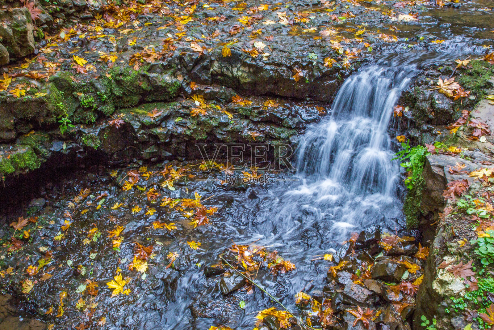 景区瀑布层层叠叠地流淌而下，岩石上覆盖着落叶、秋叶照片摄影图片