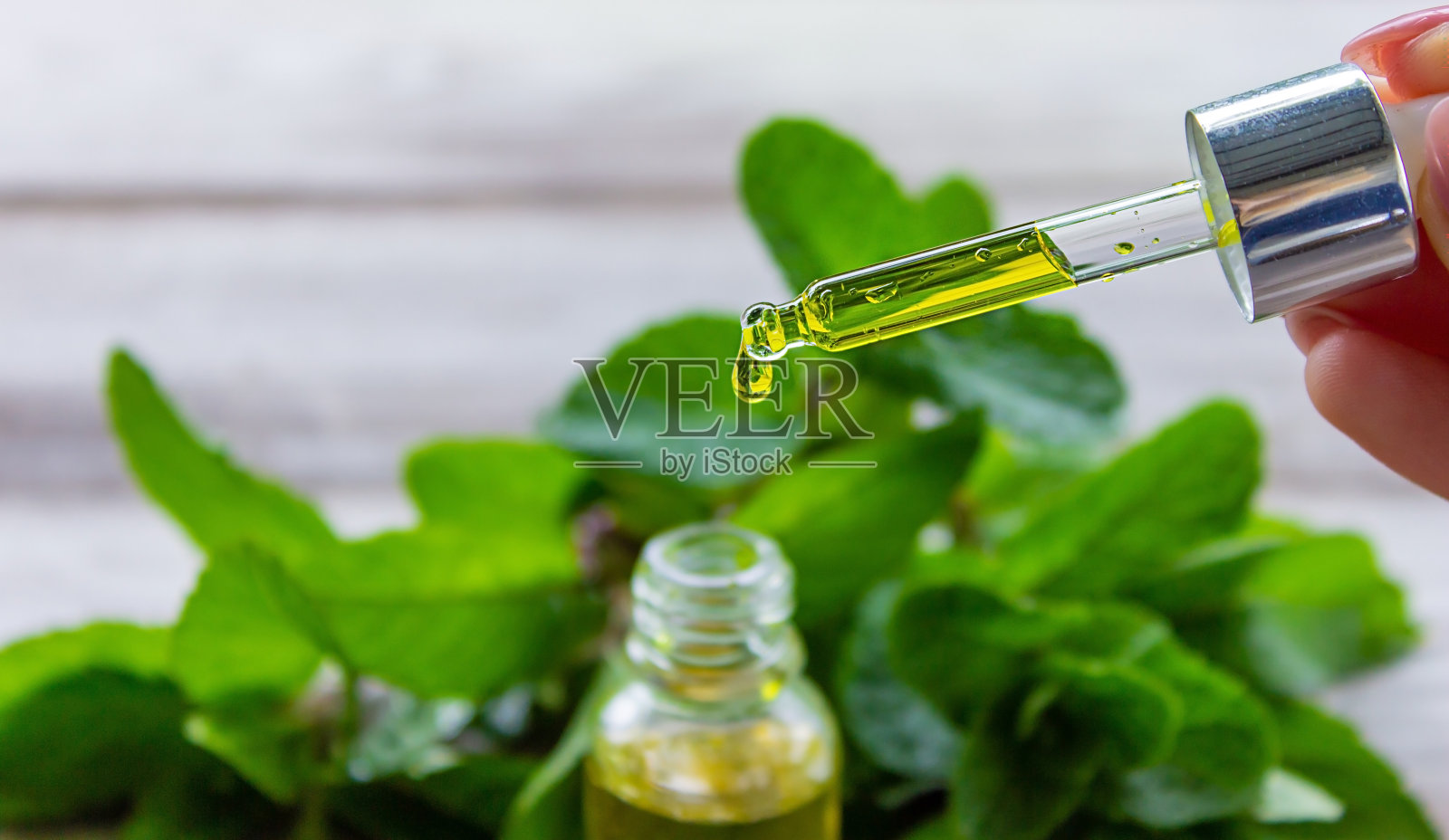 薄荷提取物在一个小罐子里。照片摄影图片