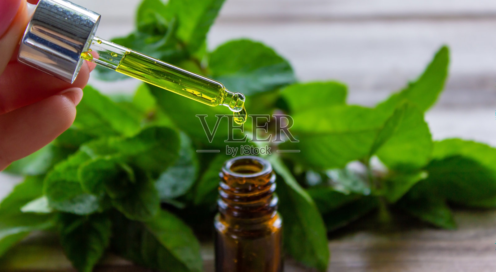 薄荷提取物在一个小罐子里。照片摄影图片