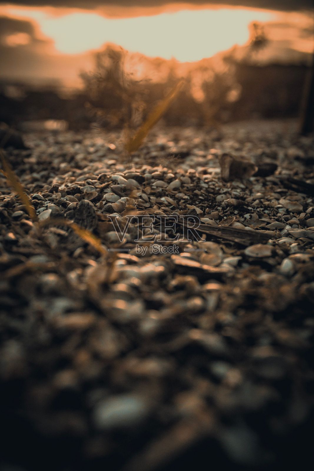 带有阳光反射的石头特写照片摄影图片