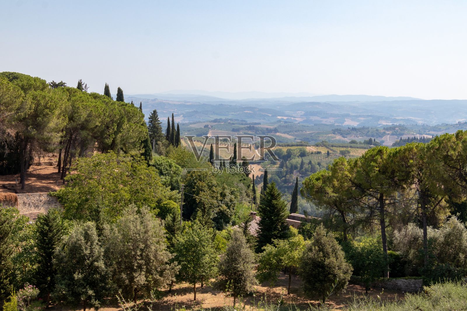 意大利托斯卡纳山上的葡萄园和树木照片摄影图片