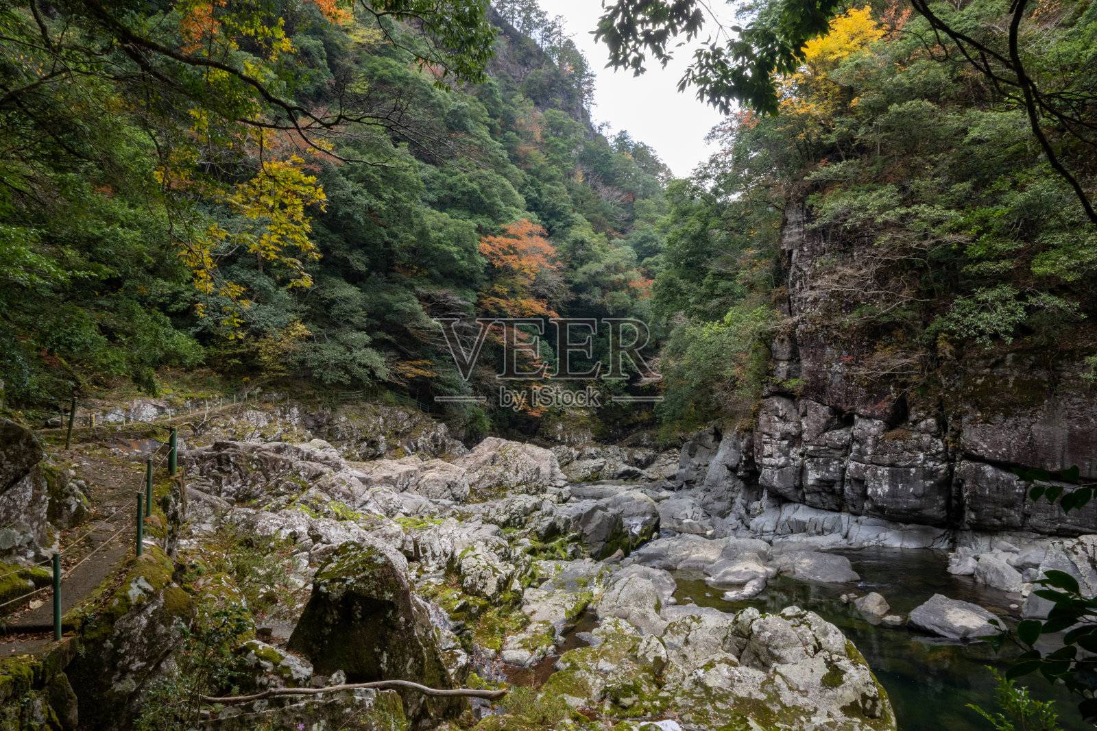 秋有山口县秋叶秀丽的Chomonkyo峡谷和山谷照片摄影图片