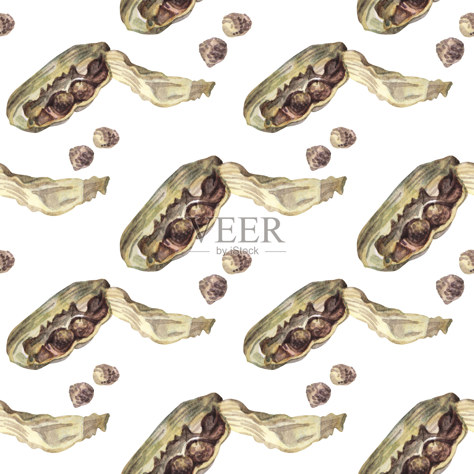 无缝图案水彩豆蔻白色背景。用于烹饪甜点或饮料的香味调味品。有小豆蔻的圣诞食物。厨房烹饪书和贴纸的艺术。壁纸包装插画图片素材