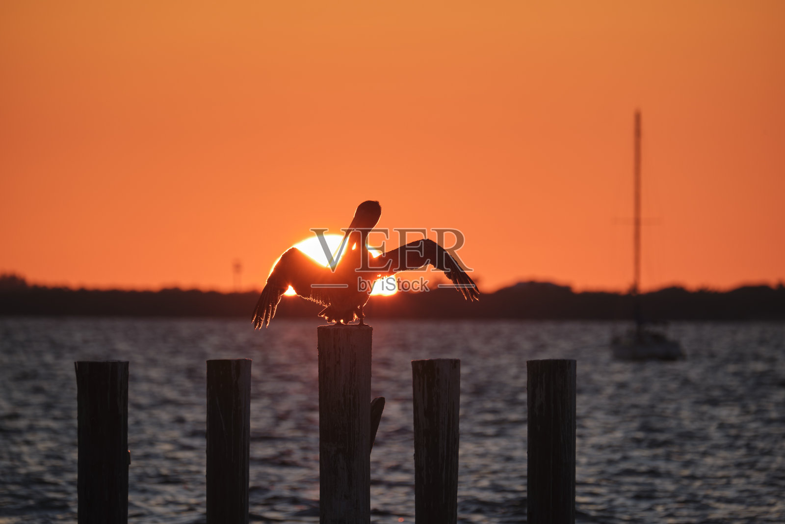 孤独的鹈鹕鸟Silhuette与展开翅膀在木制围栏杆顶明亮的橙色日落天空湖水和大斜阳照片摄影图片