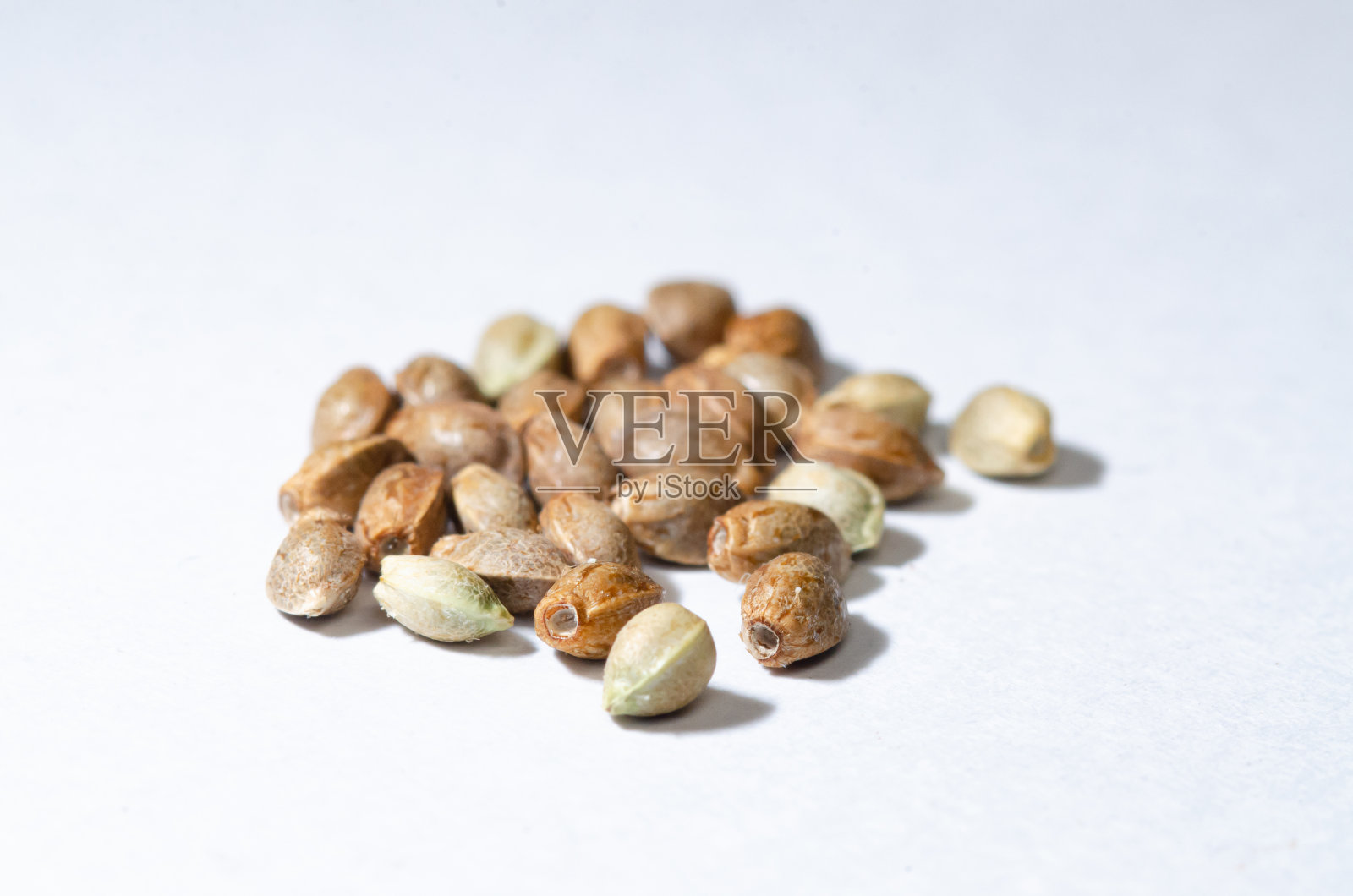 白色背景的大麻种子照片摄影图片