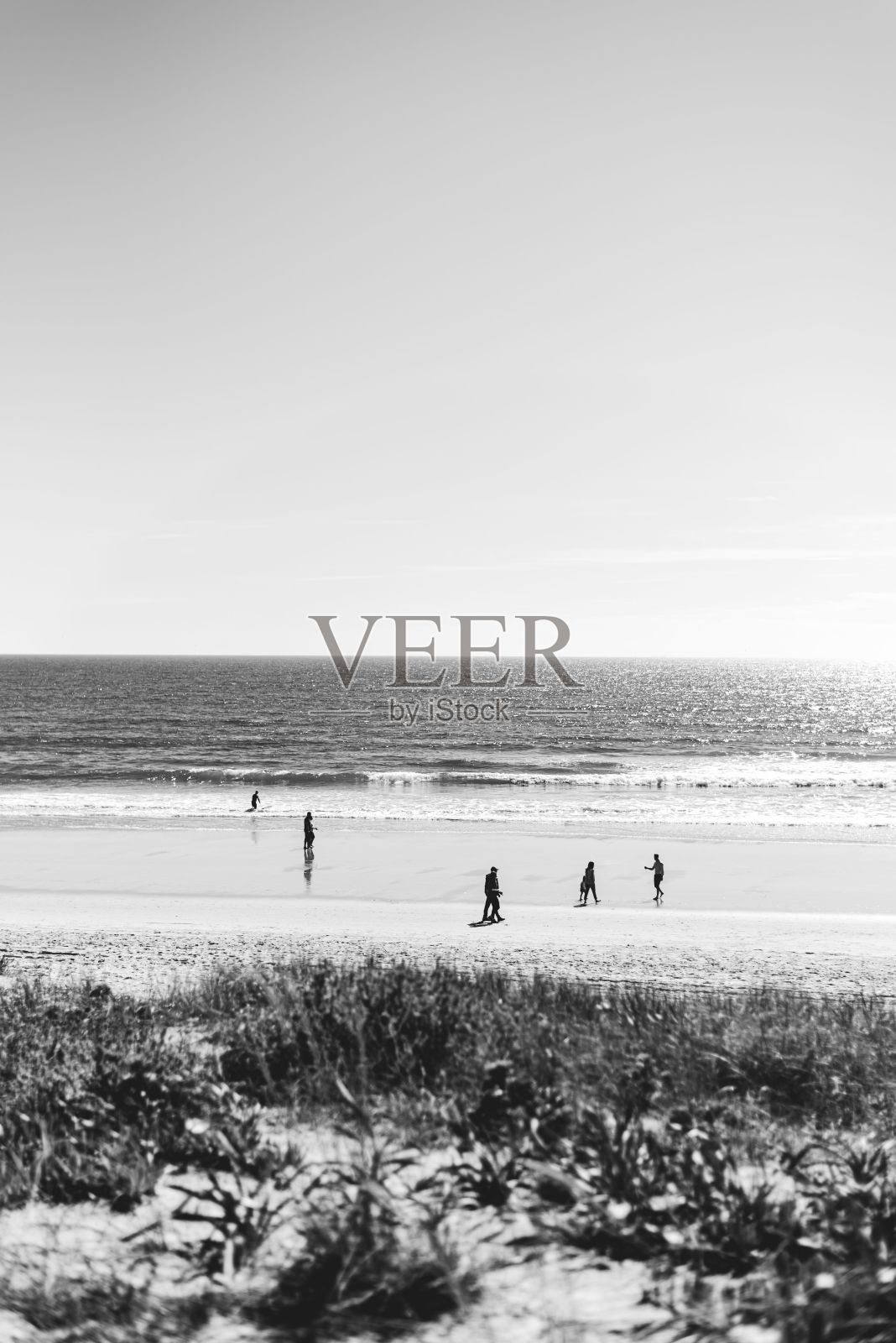 人们在海滩上享受夏天的美丽场景，垂直，灰度照片摄影图片