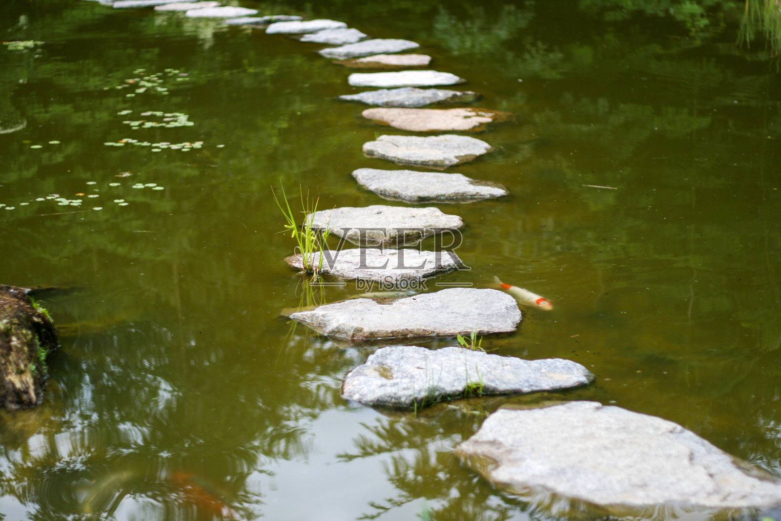 徒步旅行在巴伐利亚与绿色照片摄影图片