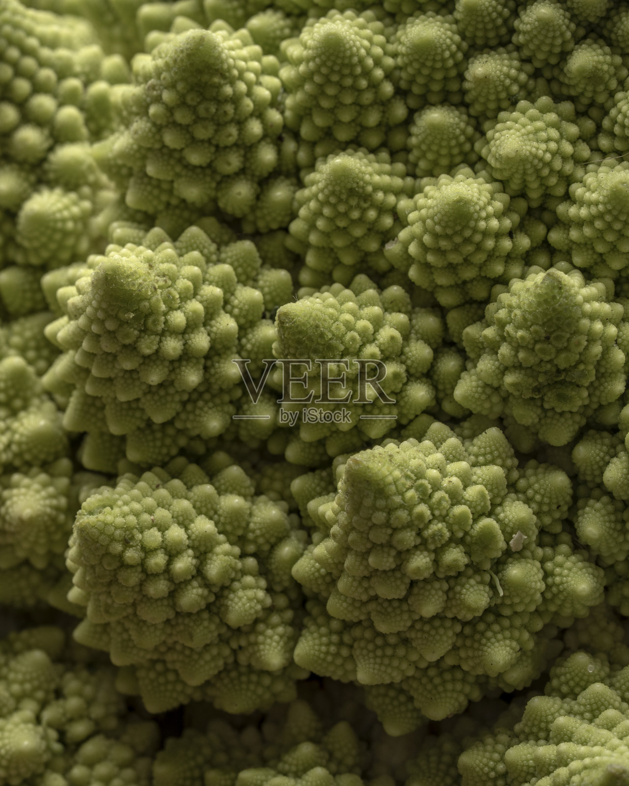 叫romesco卷心菜照片摄影图片