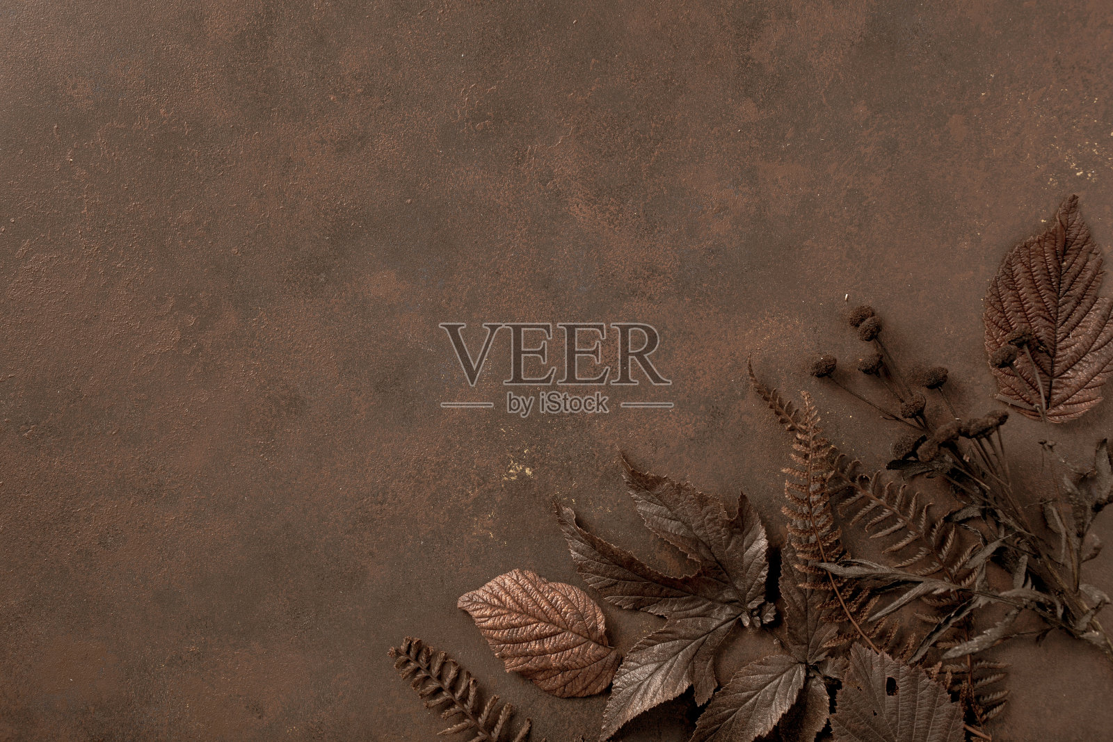 深色调褪色秋叶背景，棕色落叶植物腐烂照片摄影图片