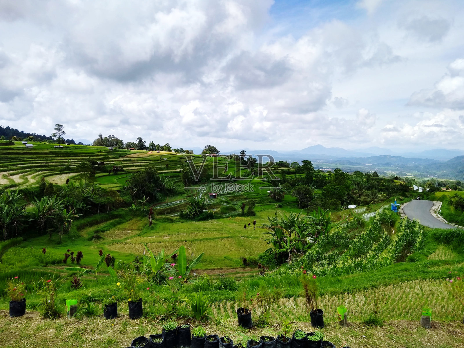美丽的大自然照片摄影图片