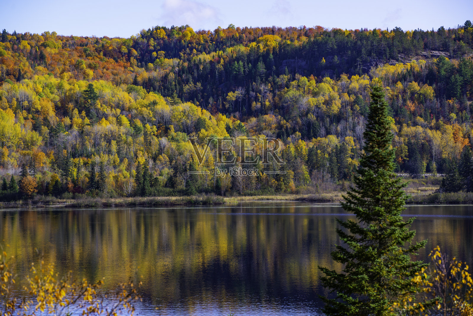 图为五彩缤纷的秋天，毛里西国家公园的景色照片摄影图片