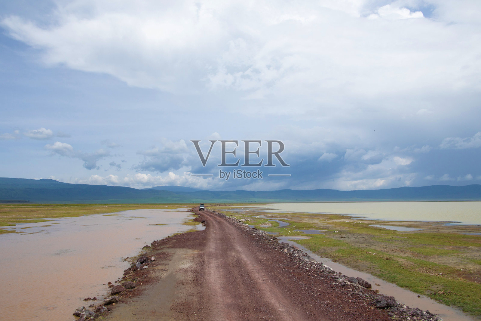 恩戈罗恩戈罗的野生动物照片摄影图片