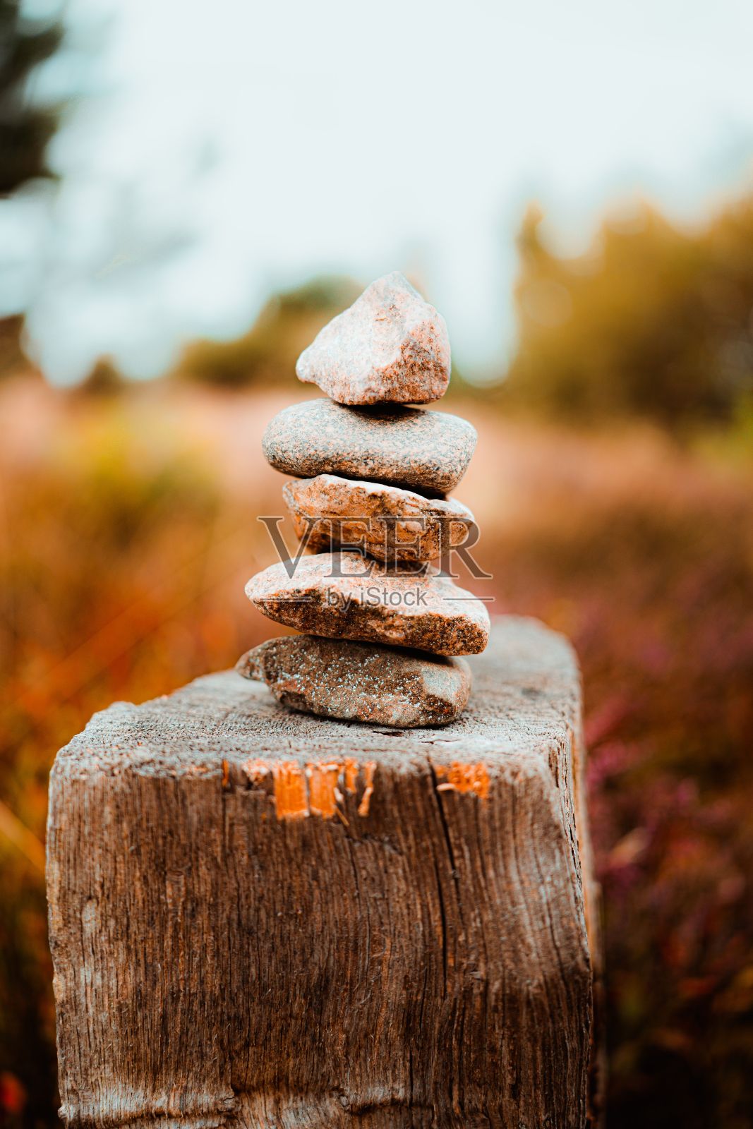 垂直拍摄的石头相互堆叠，孤立在砍下的树干上照片摄影图片