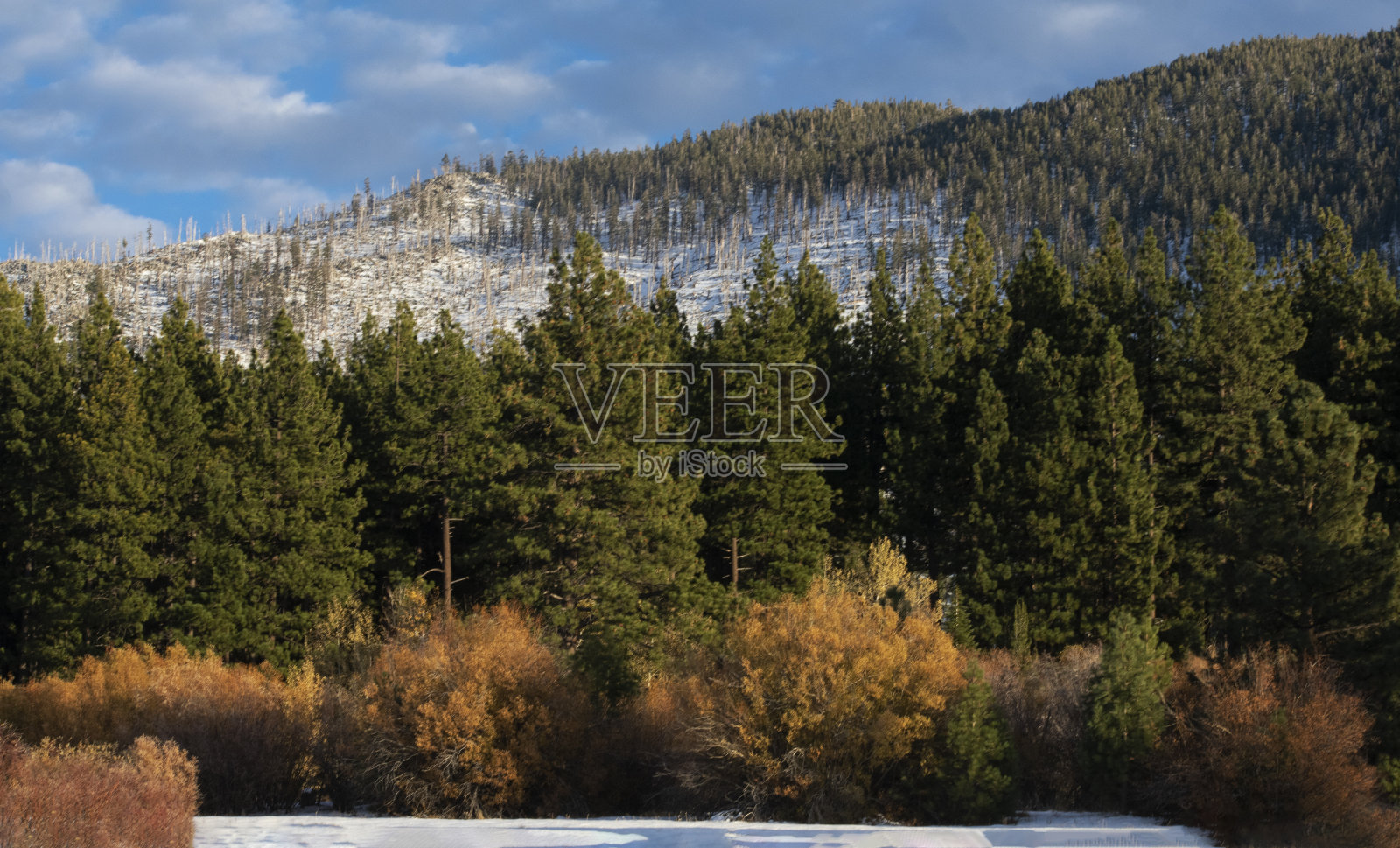 冬季森林湖太浩，加州-内华达州，美国。照片摄影图片