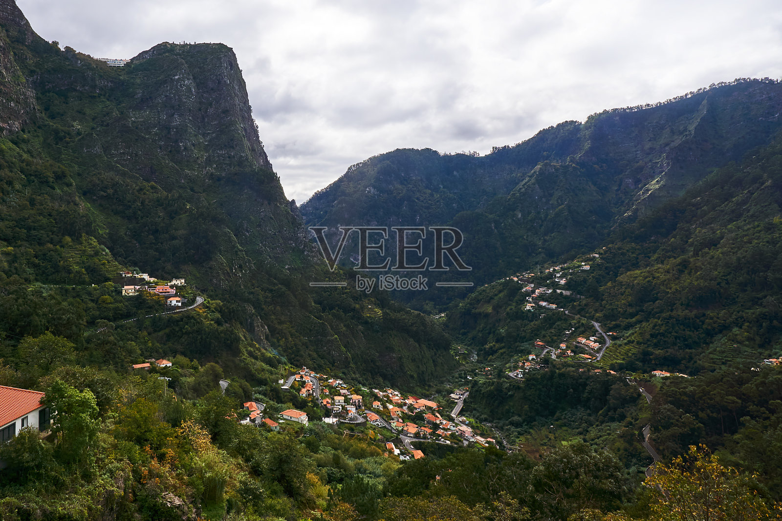 木头照片摄影图片