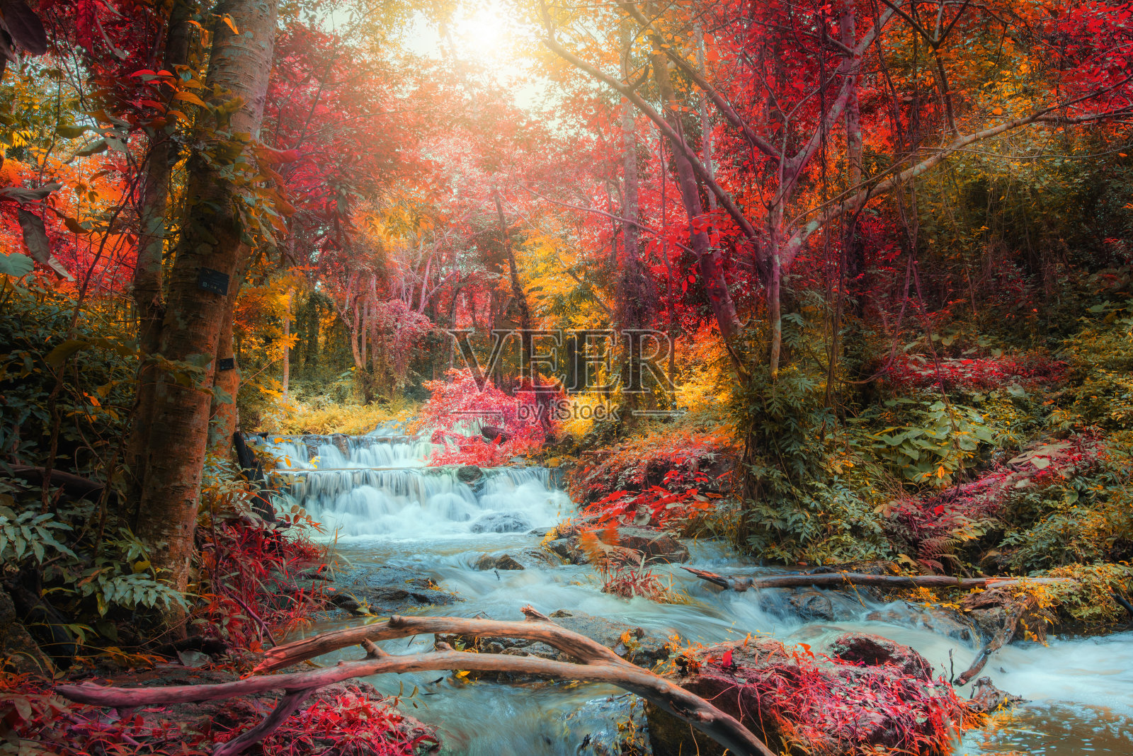 森林里美丽多彩的瀑布。令人惊叹的美妙风景天堂风景背景。照片摄影图片