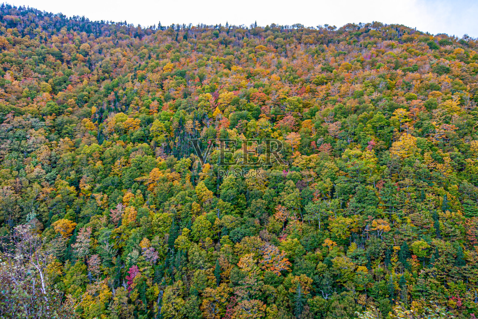 秋天的颜色照片摄影图片