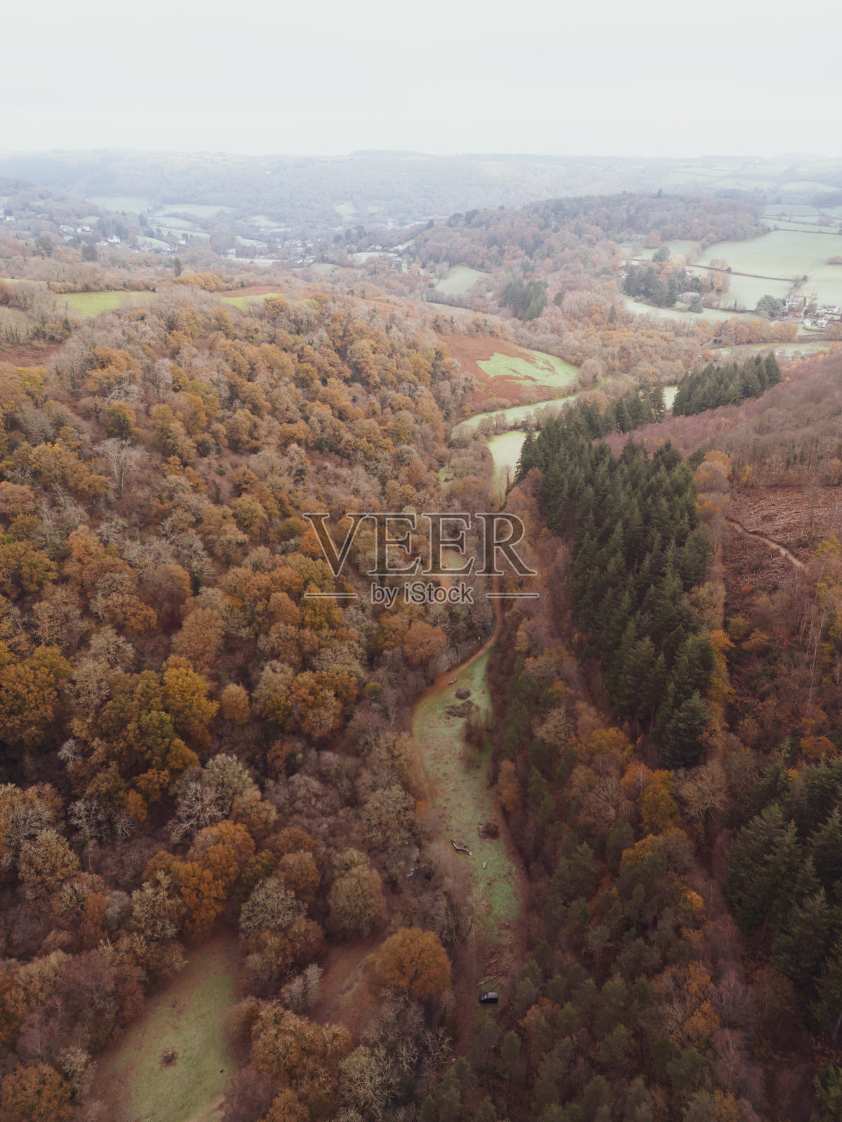 德文郡达特穆尔的绿树成荫的山谷照片摄影图片