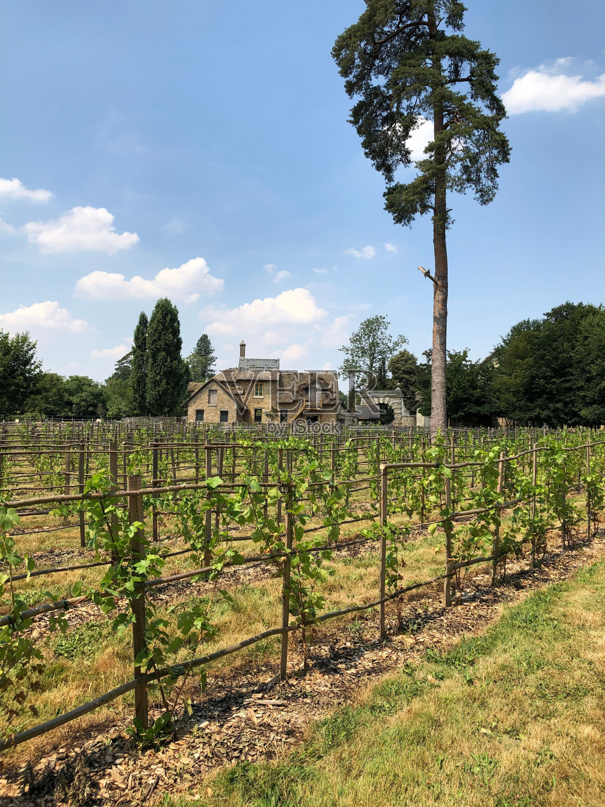 漂亮的乡村房子，带院子照片摄影图片