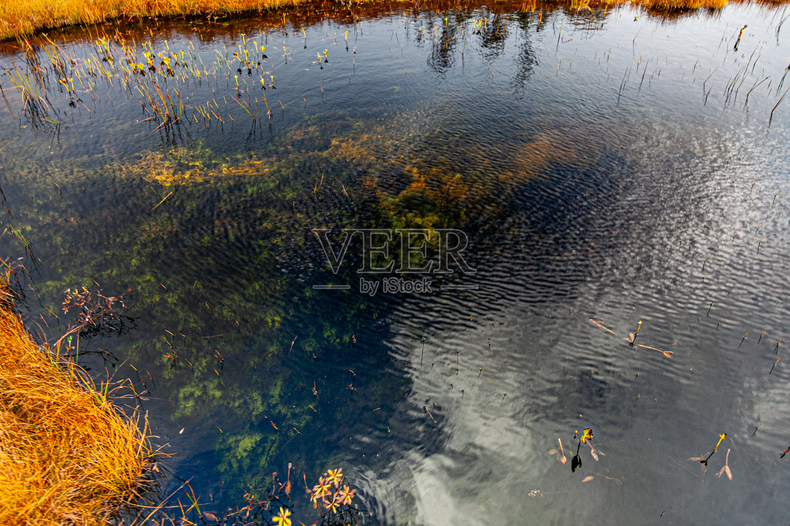 秋天的颜色照片摄影图片