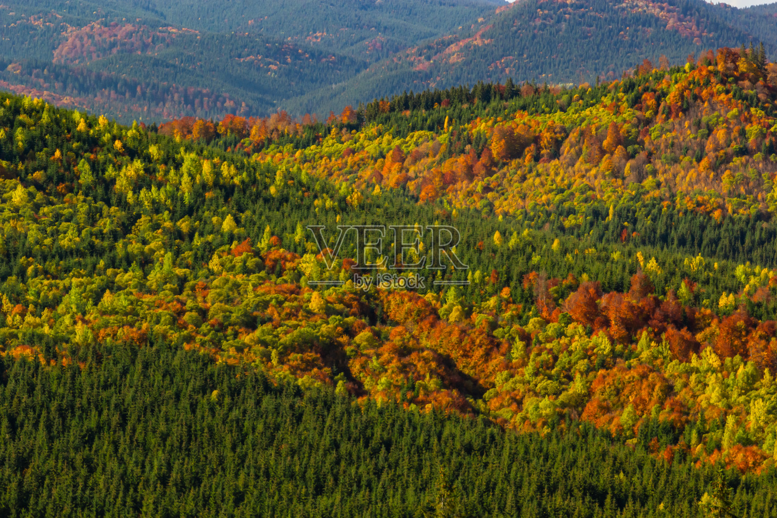 喀尔巴阡山脉的舒适夜晚。夏季山间风景。乌克兰,欧洲照片摄影图片