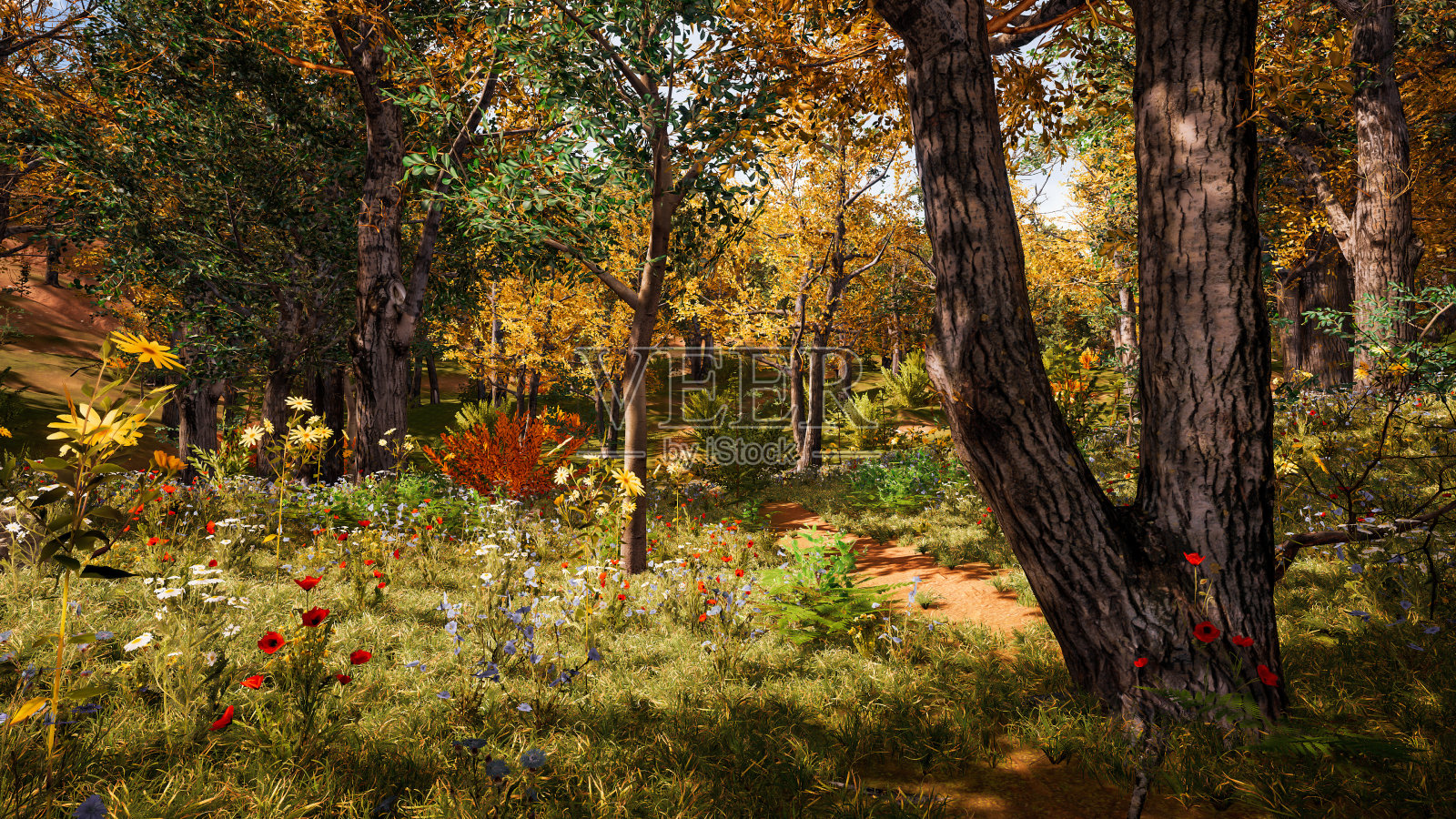 秋天的森林环境。三维渲染照片摄影图片