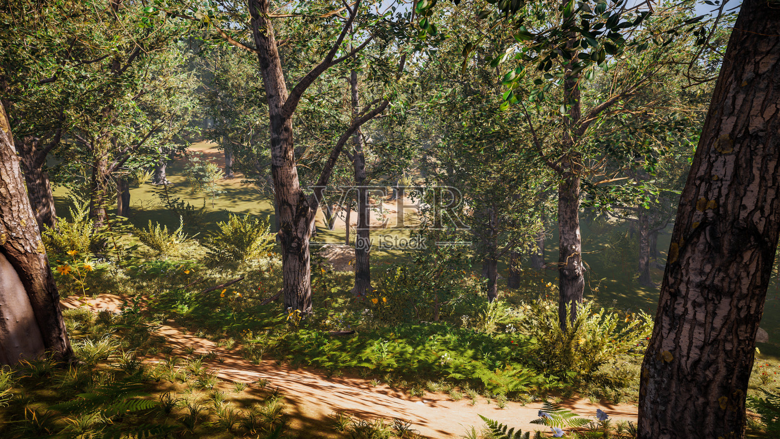 可持续的环境和生态系统保护。景观三维绘制照片摄影图片