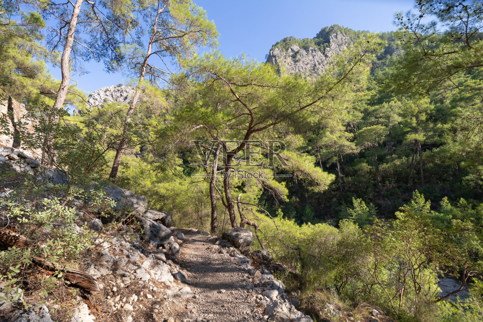 土耳其的Goynuk峡谷照片摄影图片
